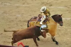 在哪里可以买到马德里斗牛门票？拉斯班塔斯斗牛场购票与观赏指南
